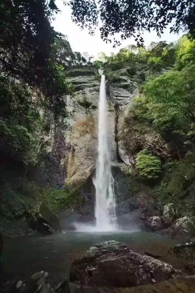兰博基尼填颜色